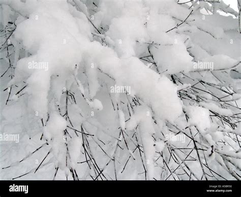 ICE STORM , GLOBAL WARMING Stock Photo - Alamy