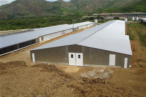 Cattle Shed Construction