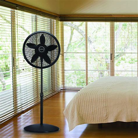 19 Best Pedestal Fans | Reviews + Guide