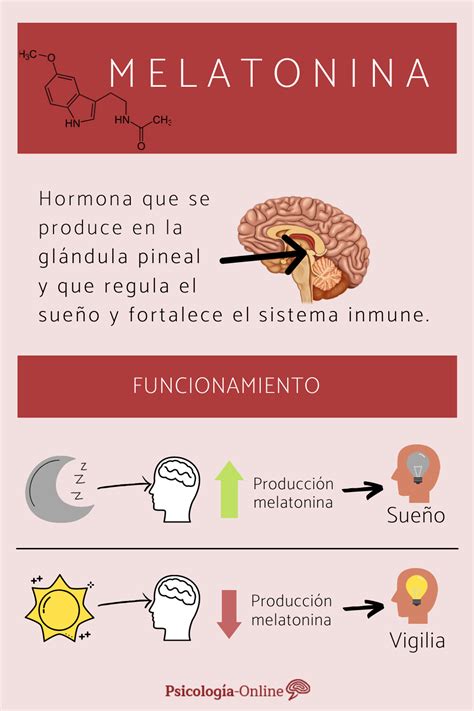 Melatonina para dormir: dosis, contraindicaciones y alimentos - ¡Tómala ...