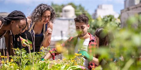 Scaling Up Urban Agriculture | Lab Manager