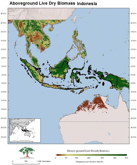 Indonesian Rainforest Map