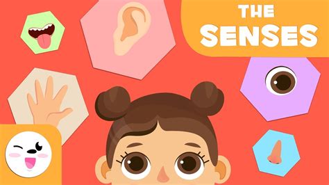 The Five Senses for Kids - Preschool Education - Gameriz - Gaming News & Online Games