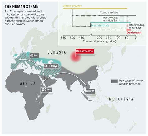 Ancient DNA Reveals Secrets of Human History — Secret History — Sott.net