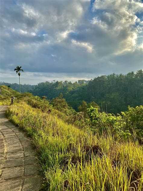 Campuhan Ridge Walk in Ubud - Explorer4Experience