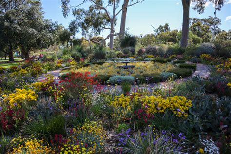 Passionate Kings Park volunteers lead wildflower tour - Government House