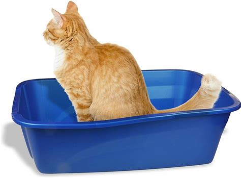 Extra Large Cat Litter Box Giant Pan Pet