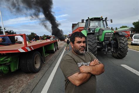 France: Farmers block roads and dump manure outside banks and ...