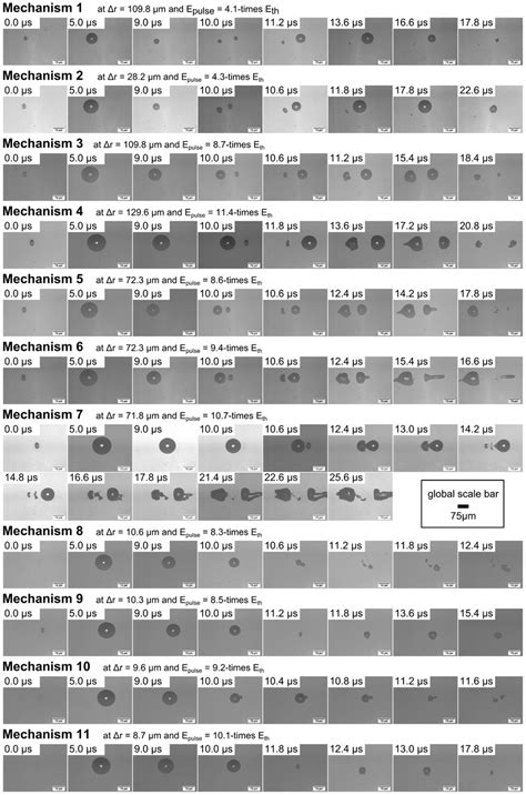 Cavitation bubble dynamics of different observable interaction ...