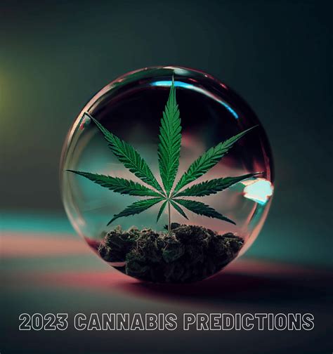 18 Cannabis Industry Predictions For 2023 From Cannabis Experts ...