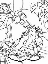 Rio Coloring Pages Para Colorear Dibujos Blu Imprimir Cartoon Colouring  sketch template