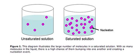 Chapter 18 - Intro to Bio & Chem