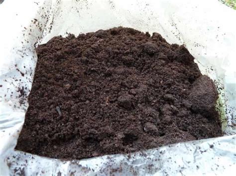 Peat (peat soil) - Buy Peat (peat soil) product on globalpiyasa.com