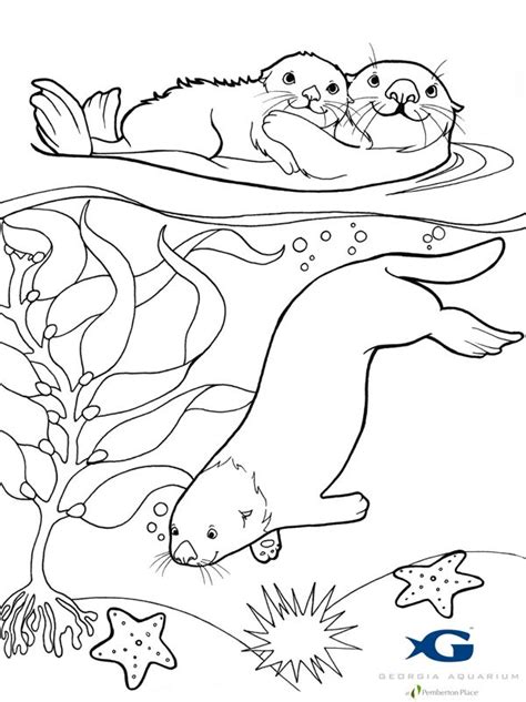 Printable Otter Coloring Pages