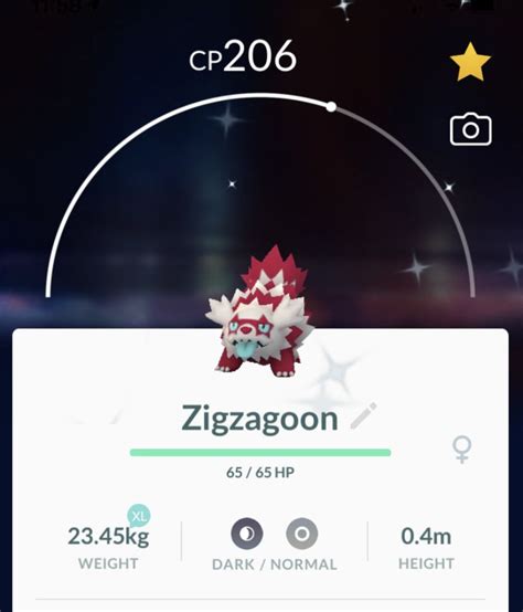 SHINY ZIGZAGOON GALARIAN Pokemon Go, Video Gaming, Video Games, Others on Carousell