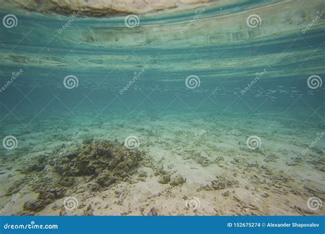 Beautiful Underwater View during Snorkeling. Maldives, Indian Ocean Stock Photo - Image of pool ...