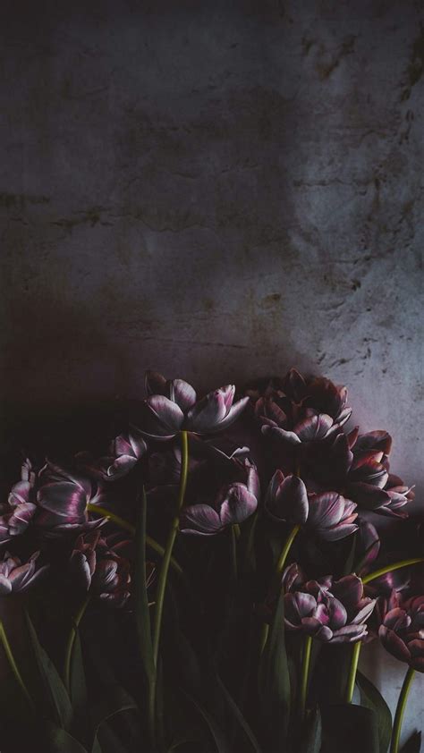 Wilted Flowers Wallpapers - Wallpaper Cave