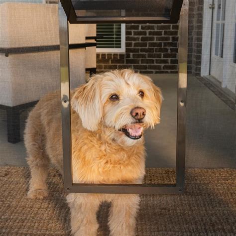 PetSafe 8 in. x 9-1/4 in. Pet Screen Door-P1-ZB-11 - The Home Depot in 2021 | Pet screen door ...