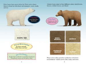 Polar Bear Vs Grizzly Bear Size Comparison