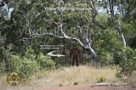 The Yowie Munna Creek Monster Sighting 2022 - Yowie Sightings News