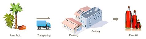 What is palm oil production process?_FAQ