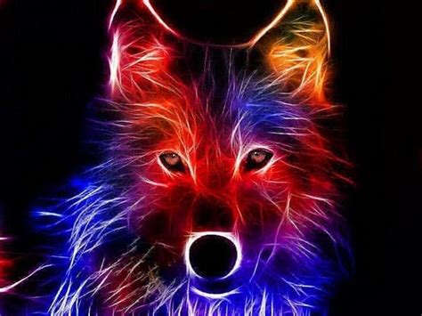 Rainbow Wolf Wallpaper