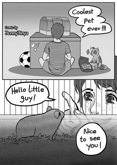 Heartbreaking Comic About The Sad Life Of A Neglected Hamster By Comic ...