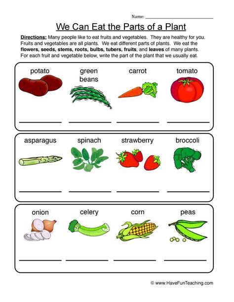 Edible Parts of a Plant Worksheet | Have Fun Teaching 1st Grade Worksheets, Science Worksheets ...