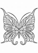 Free Printable butterfly coloring page  Butterfly Coloring Pages sketch template