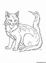 30  Warrior Cats Coloring Pages Free Printable PDF JPG PNG & Online sketch template