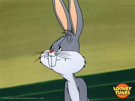 Bugs Bunny Yes GIF by Looney Tunes - Find & Share on GIPHY