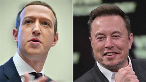 Elon Musk Proposes ‘Cage Match’ With Mark Zuckerberg - The New York Times