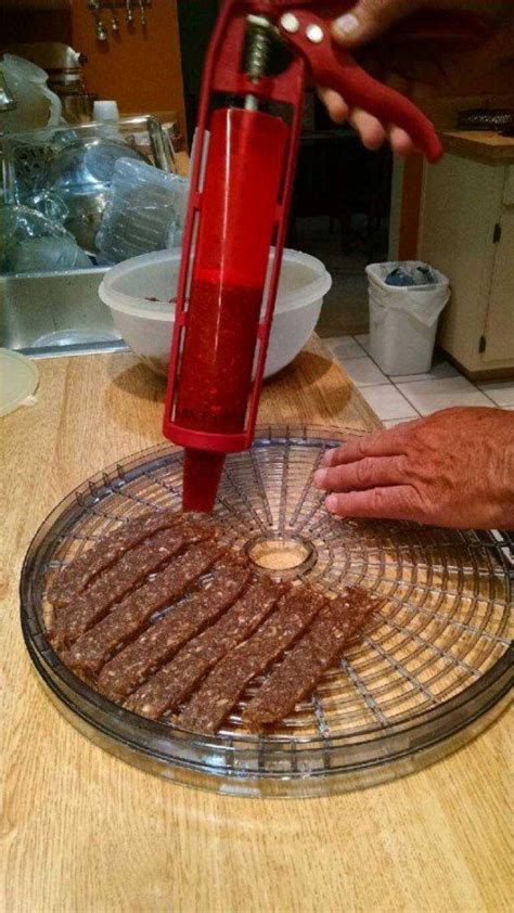 How to Make Deer Jerky in the Dehydrator | Deer jerky recipe, Venison ...