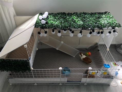 Customised C&C Cage for my Guinea Pigs | Guineathebuilder