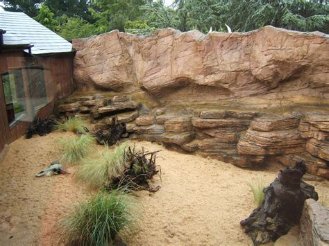 View of outdoor Fennec Fox enclosure - ZooChat