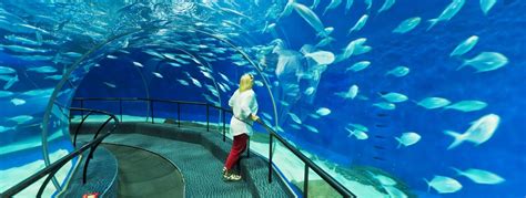 Shanghai Ocean Aquarium - Spiritual Forums