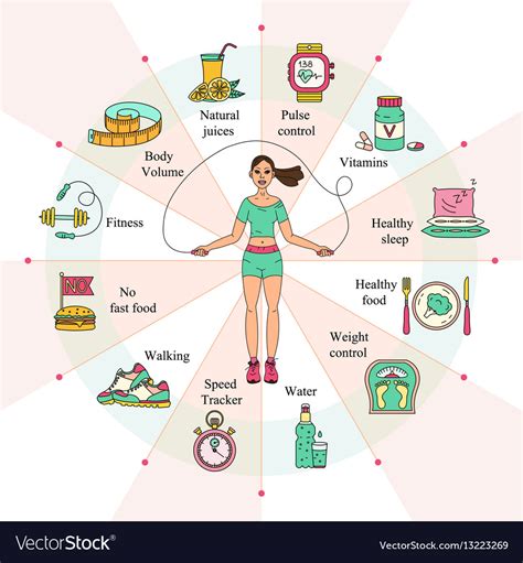 Weight loss diet infographics Royalty Free Vector Image