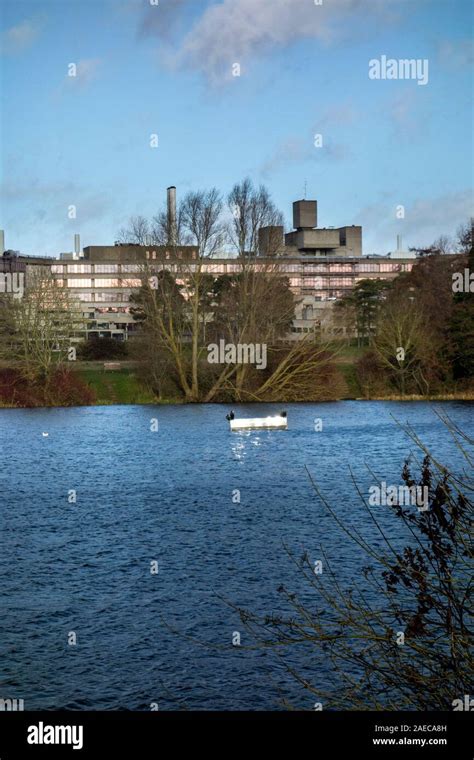 UEA lake the broad Stock Photo - Alamy