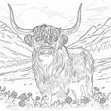 Coloring Pages Of Cow A Fun And Educational Activity For Kids sketch template