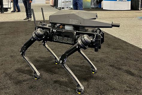 Ghost Robotics: US military may get armed dog-like robot with night ...