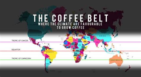 Coffee Growing Regions Of The World - Coffee Cup PSD Mockups