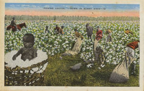 Slaves Picking Cotton