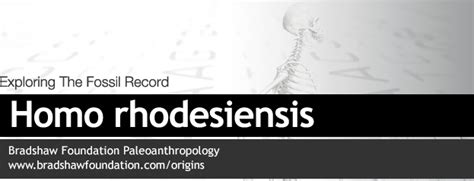 Homo rhodesiensis