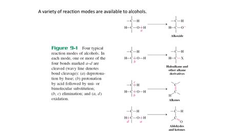 9-1 Alkoxide Synthesis PPT