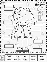 Body Parts Worksheet Coloring Pages sketch template
