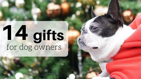 14 Gifts for Dog Owners | Unique Gifts Every Dog Lover Needs – BarkBlaster