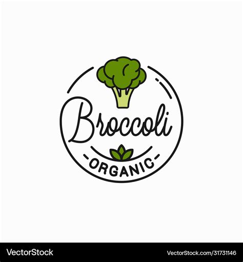 Broccoli vegetable logo round linear broccoli Vector Image