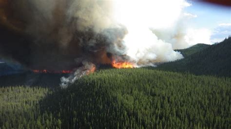 Yukon firefighters choose priorities among 43 wildfires | CBC News