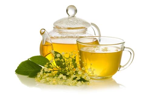 Buy Elderflower Tea: Benefits, Side Effects, How to Make