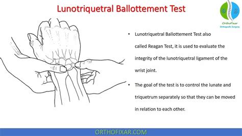 Lunotriquetral Ballottement Test • Easy Explained - OrthoFixar Forearm Muscle Anatomy, Wrist ...